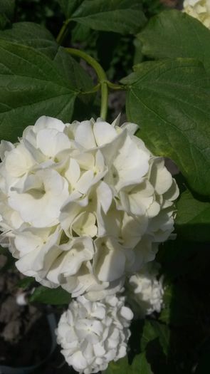 20140503_132025
