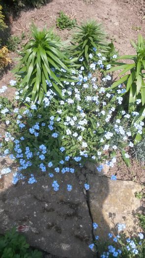 20140503_132035