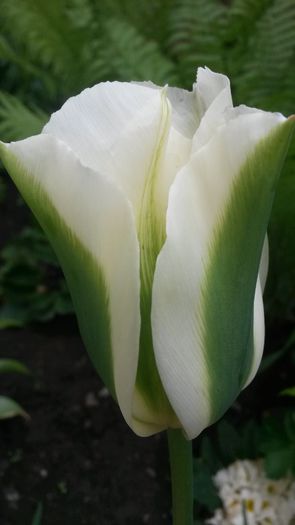 20140505_130032 - Copie (2) - z-talmes-balmes