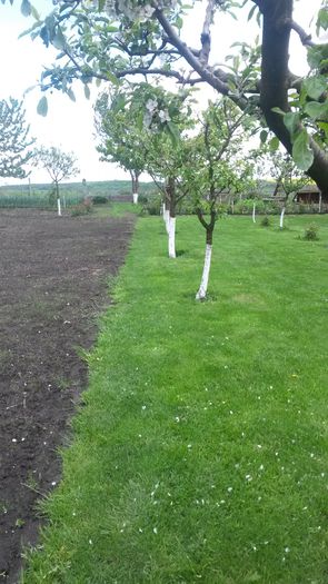 20140505_130358 - z-talmes-balmes