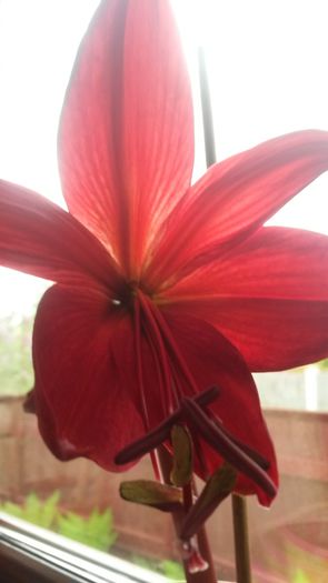 20140505_134223 - z-talmes-balmes