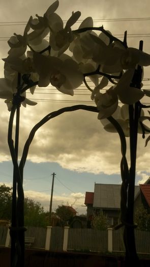 20140505_134349 - z-talmes-balmes