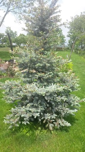 20140515_144701 - z-talmes-balmes