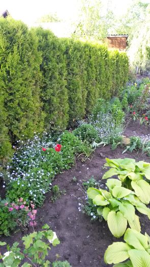 20140516_182247 - z-talmes-balmes