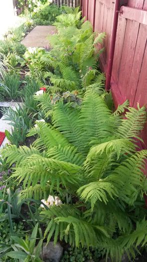 20140516_182332 - z-talmes-balmes