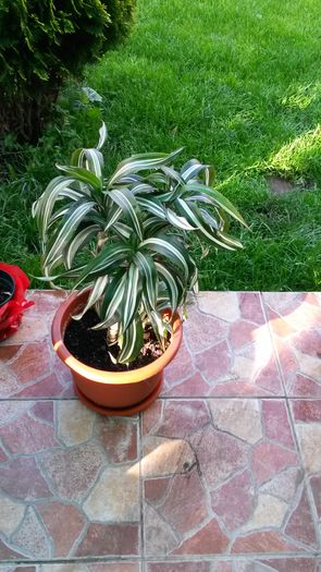 20140516_182534 - z-talmes-balmes