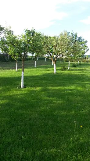 20140516_182722 - z-talmes-balmes