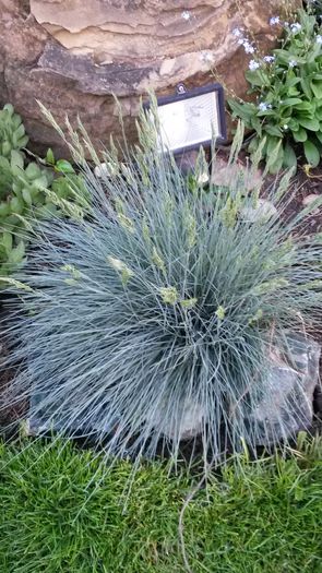 20140517_192339 - z-talmes-balmes