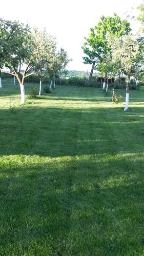 20140517_192457 - z-talmes-balmes