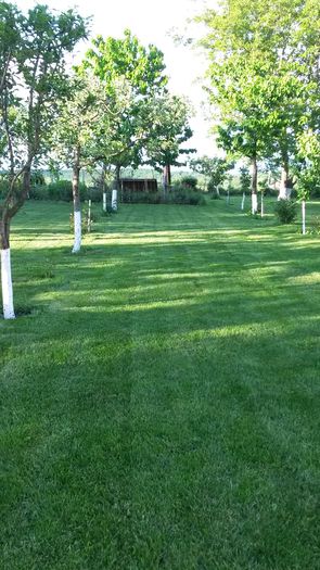 20140517_192511 - z-talmes-balmes