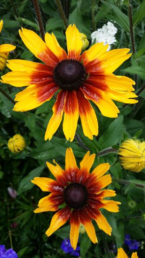 20140712_135707