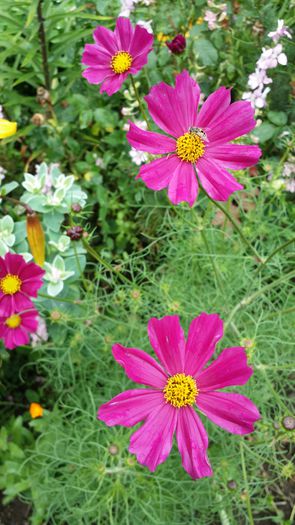 20140712_135448