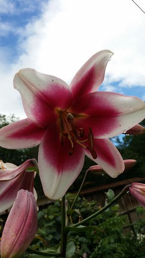 20140712_135626