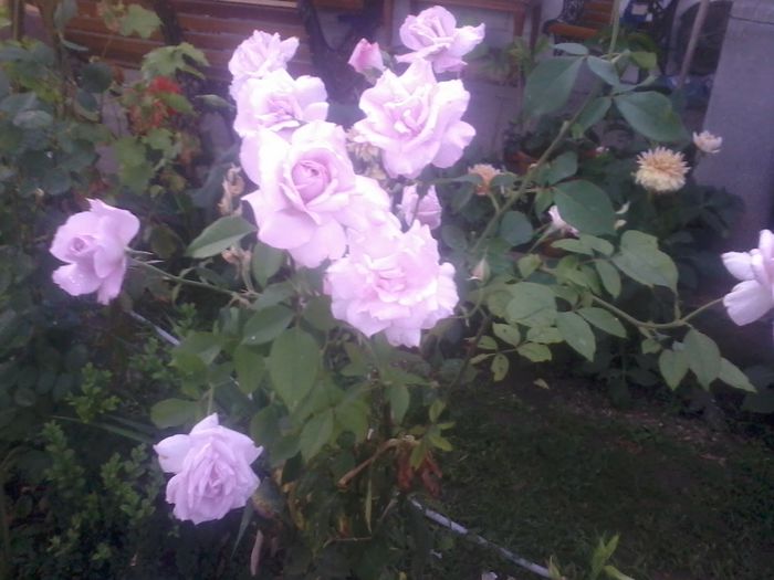 2014-07-14 20.01.53