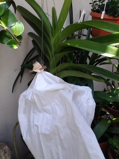 ne-a protejat mami de aerul fierbinte - iulie 2014