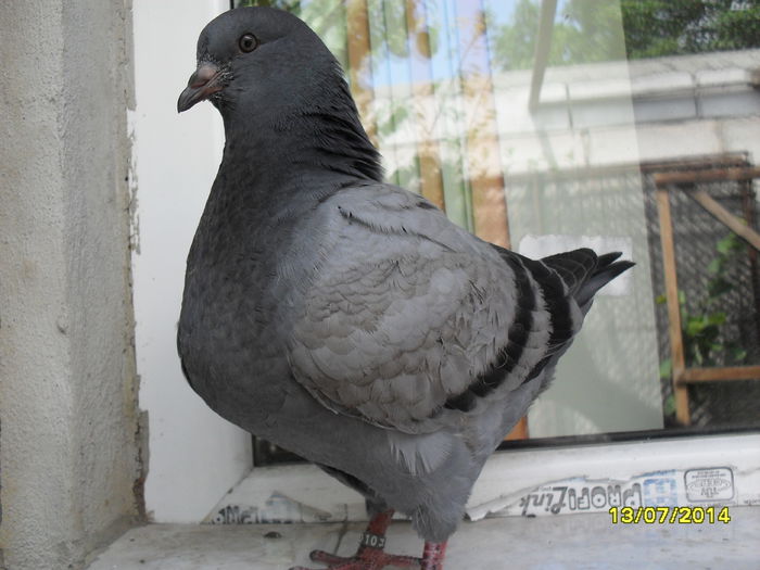 SDC13298