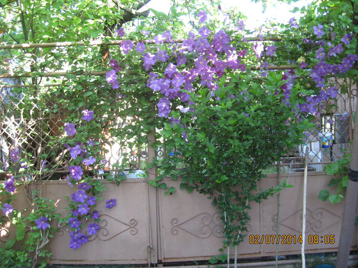 Picture 2140