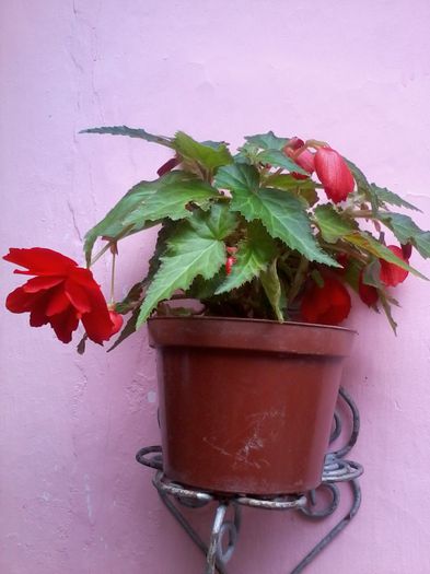 20140714_140852