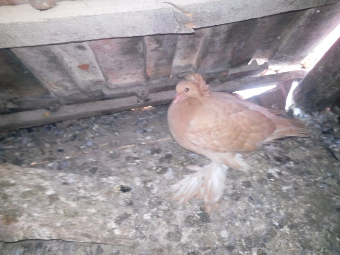 IMG_20140715_144447566