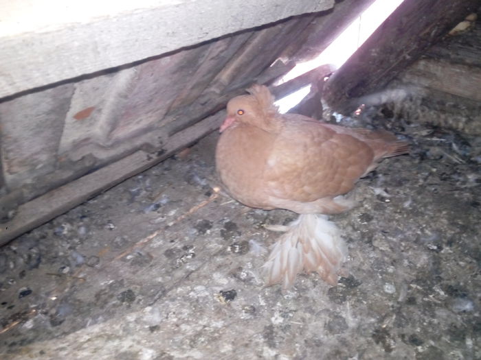 IMG_20140715_144441447