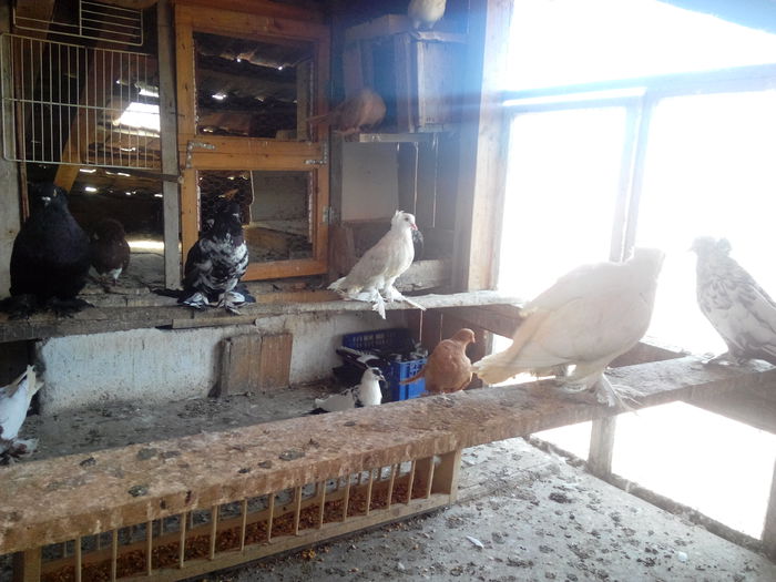 IMG_20140715_144949782