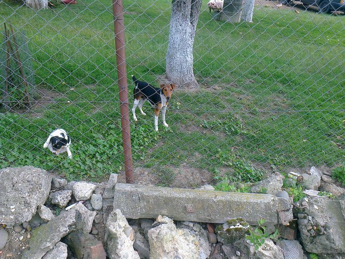 mama si fratele lui Effy