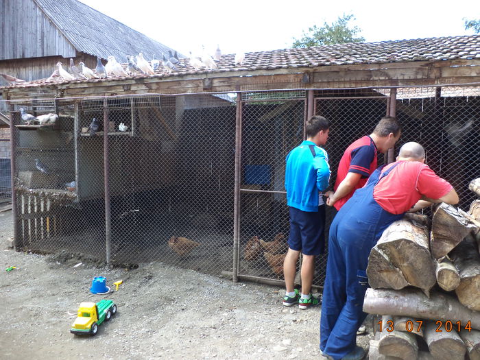 Ne uitam la porumbei