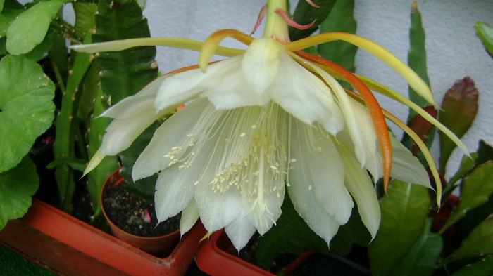 DSC01404