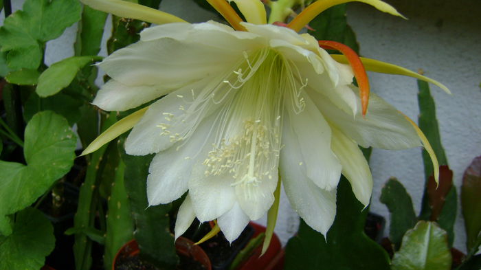 DSC01405