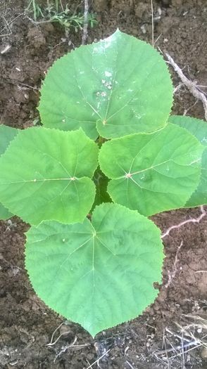 WP_20140713_022