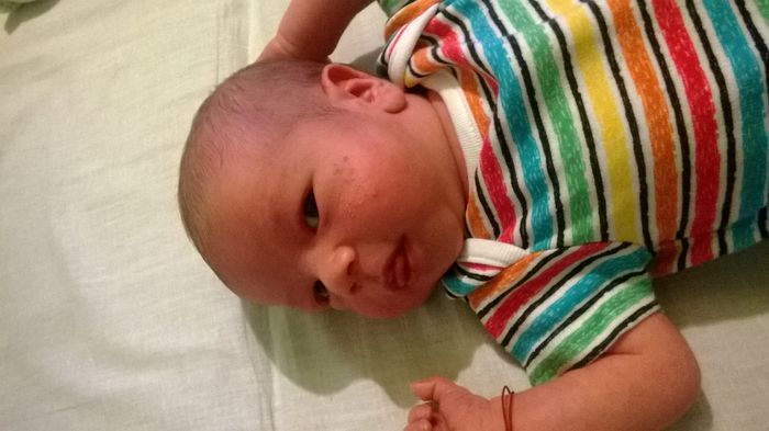 WP_20140610_007 - Flavius alexandru