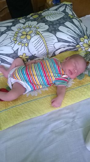 WP_20140611_004 - Flavius alexandru