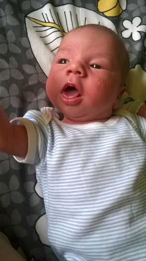 WP_20140614_001 - Flavius alexandru