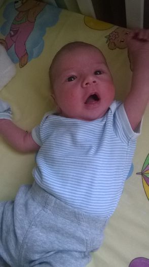 WP_20140614_009 - Flavius alexandru