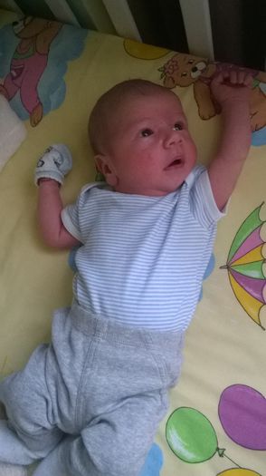 WP_20140614_010 - Flavius alexandru