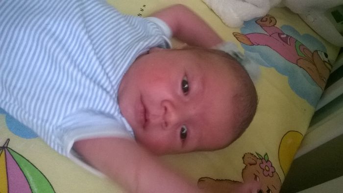 WP_20140614_011 - Flavius alexandru