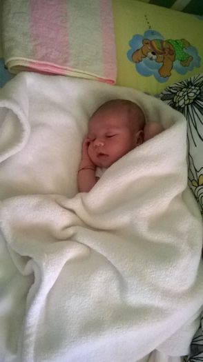 WP_20140619_002 - Flavius alexandru