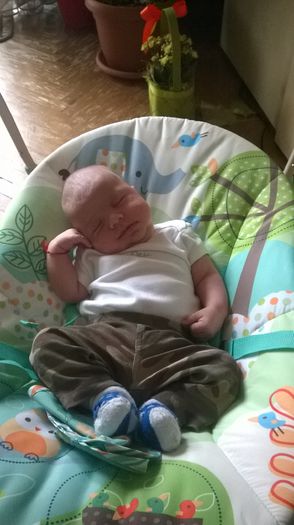 WP_20140703_001 - Flavius alexandru