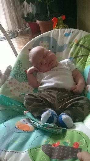 WP_20140703_002 - Flavius alexandru