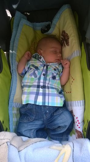 WP_20140710_002 - Flavius alexandru