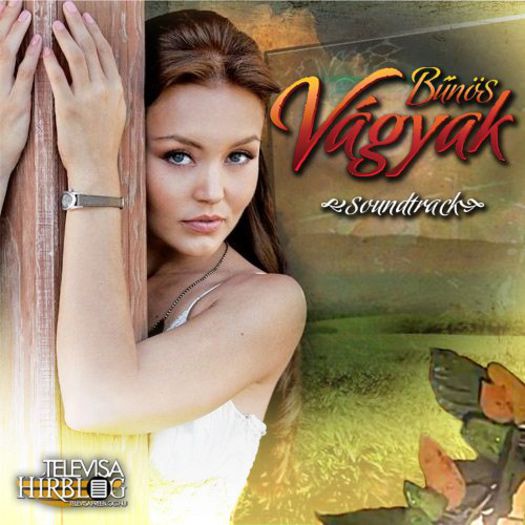 384551_126544184159736_567638091_n