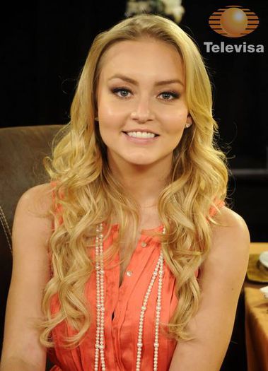 1005199_144782462387446_983413470_n