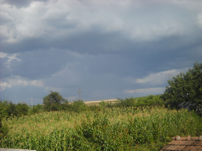 ASCULTA,PRIVESTE SI TACI !!!; ASCULTA sa sti sa vorbesti ! PRIVESTE sa sti sa traiesti ! SI TACI ca sa sti ce sa faci !
