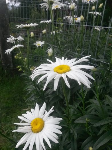 20140712_090542