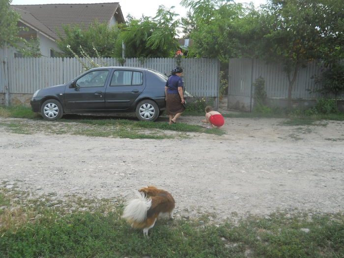 mamaica de peste drum