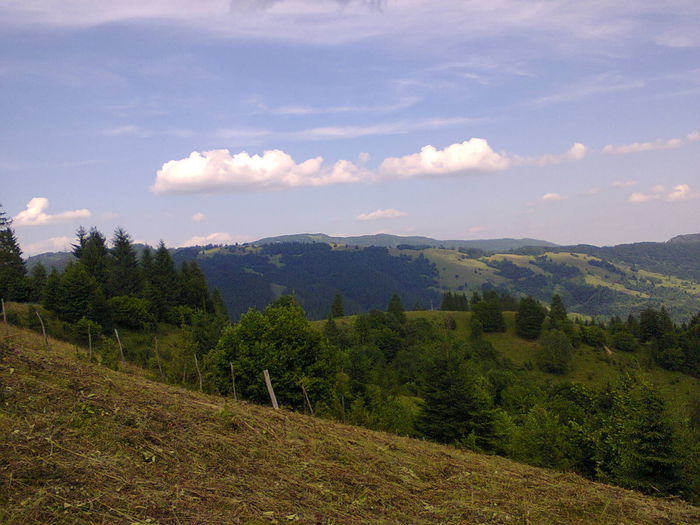  - peisaje de unde locuiesc