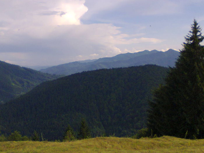  - peisaje de unde locuiesc