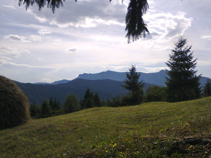  - peisaje de unde locuiesc