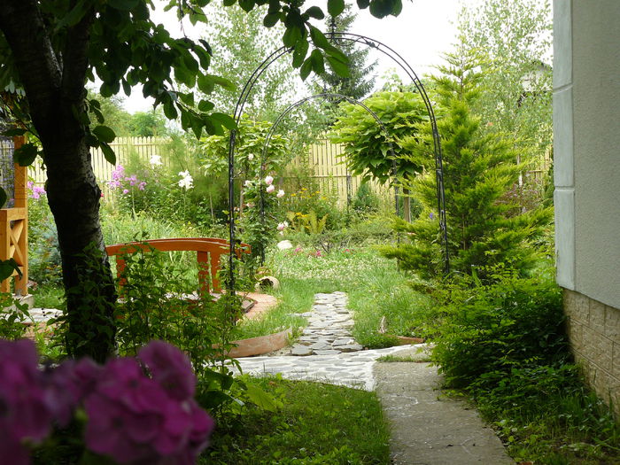 Aleea umbroasa - Gradina rozelor_2014