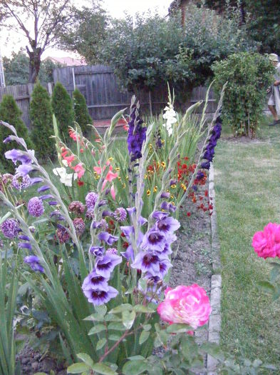 DSCF0846 - Vara 2014-2017